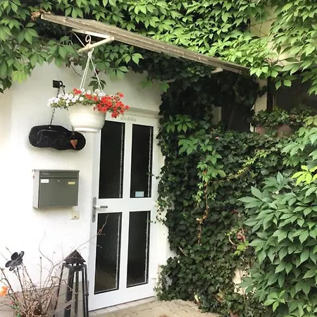 Ferienwohnung Ferienidylle Oberschützen Exterior foto